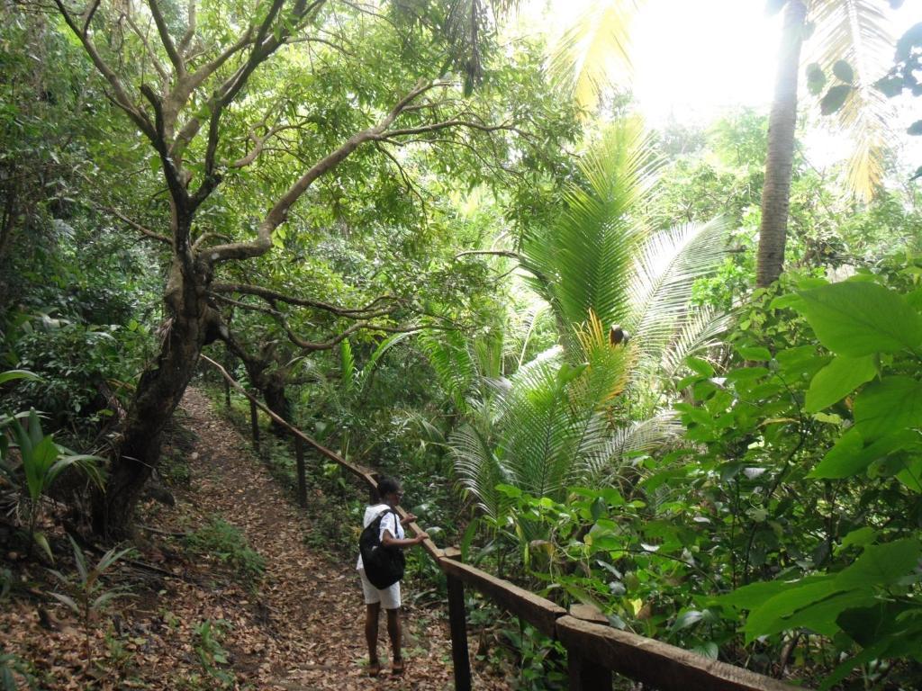 Classique International In Dominica Marigot Exterior photo